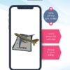 learn plane AR flash card